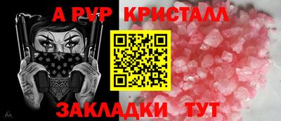 гидра Кингисепп