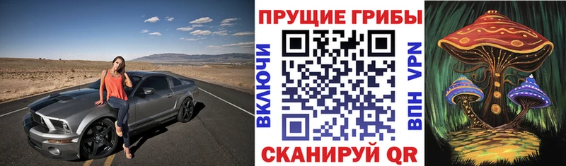Псилоцибиновые грибы Psilocybe  наркошоп  Клин 