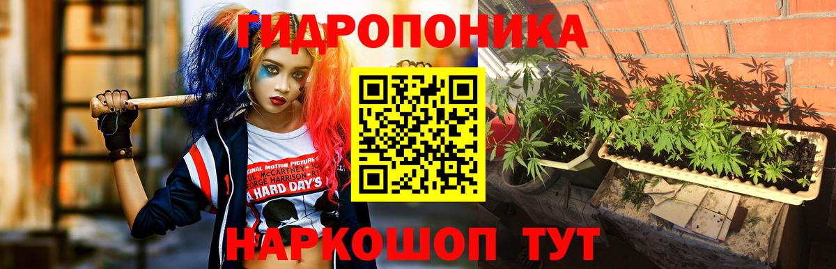 Конопля LSD WEED  Вход с VPN  Бошки Шишки планчик  Канабис Bruce Banner  Клин 